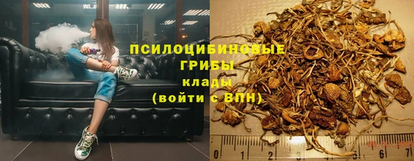 СК Костерёво