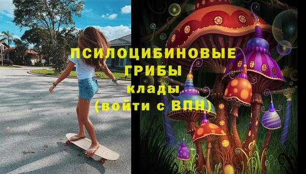 mdpv Корсаков