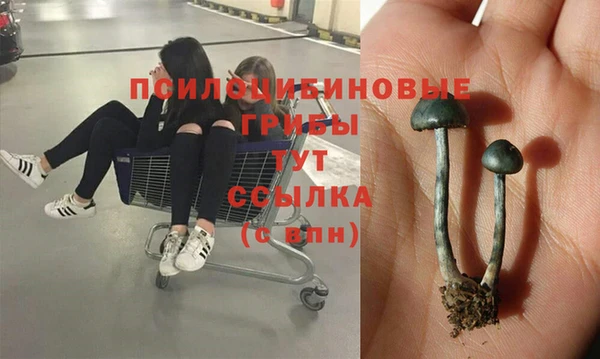СК Коряжма